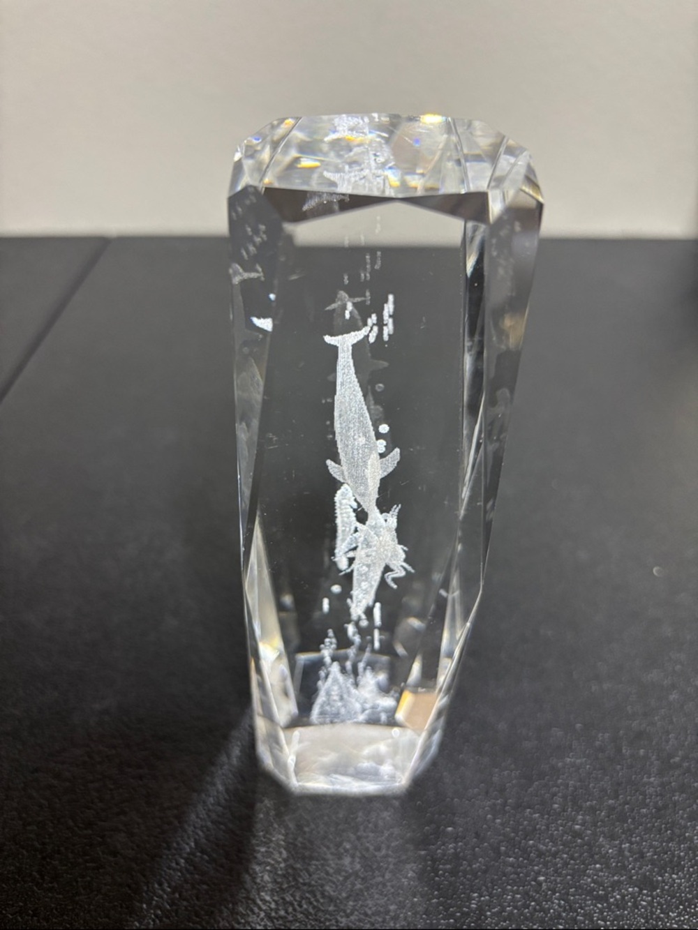 Sea Life Clear Heavy Paper Weight Decor Nautical - Picture 2 of 9